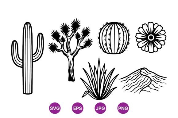 Desert Cactus Botanical Illustrations & Graphics