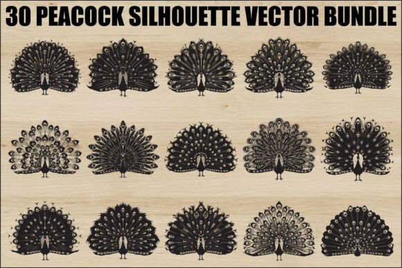 Peacock Silhouette SVG Bundle: Graphics & Illustrations for Sellers